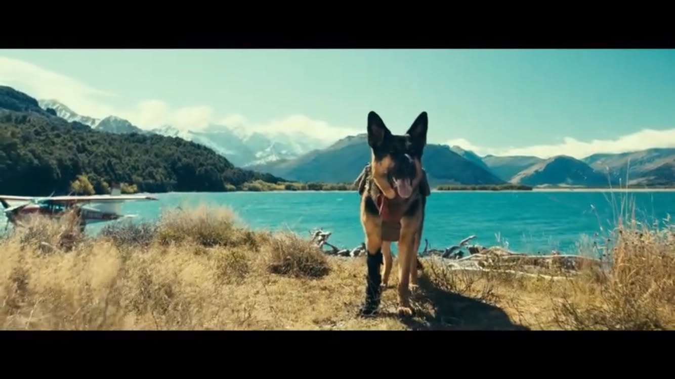 May be an image of dog and lake
